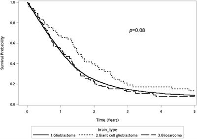 Epidemiologic Features, Survival, and Prognostic Factors Among Patients With Different Histologic Variants of Glioblastoma: Analysis of a Nationwide Database